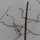 Illustration for article titled Replacing Rusty Brake Lines on a $1 Oldsmobile Alero Was Hell